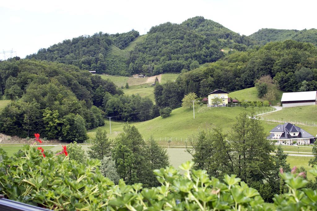 ポドチェトルテク Tourist Farm Mrazヴィラ エクステリア 写真